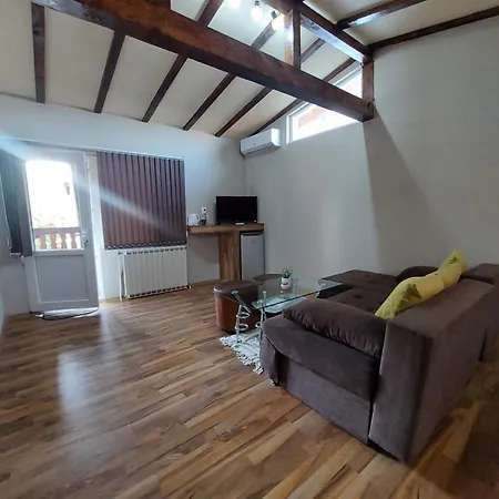 за гости върбите Sapareva Banya