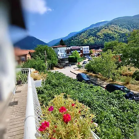 Vendégház за гости върбите