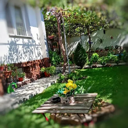 за гости върбите Affittacamere Sapareva Banya