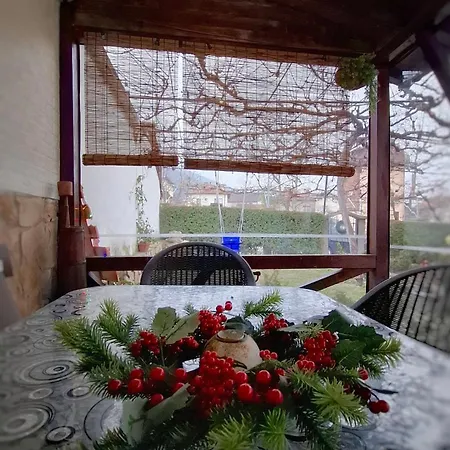 за гости върбите 3* 사파레바바냐