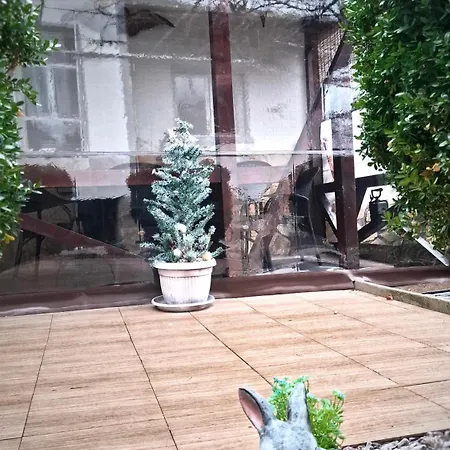 за гости върбите