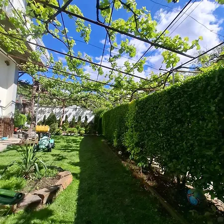 за гости върбите 3*