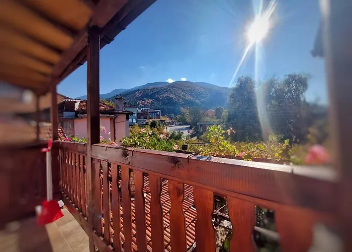 за гости върбите