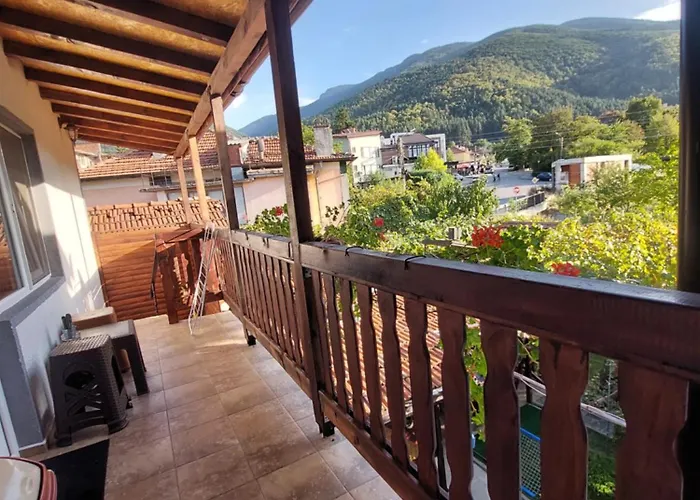 Pensjonat за гости върбите Saparewa Banja