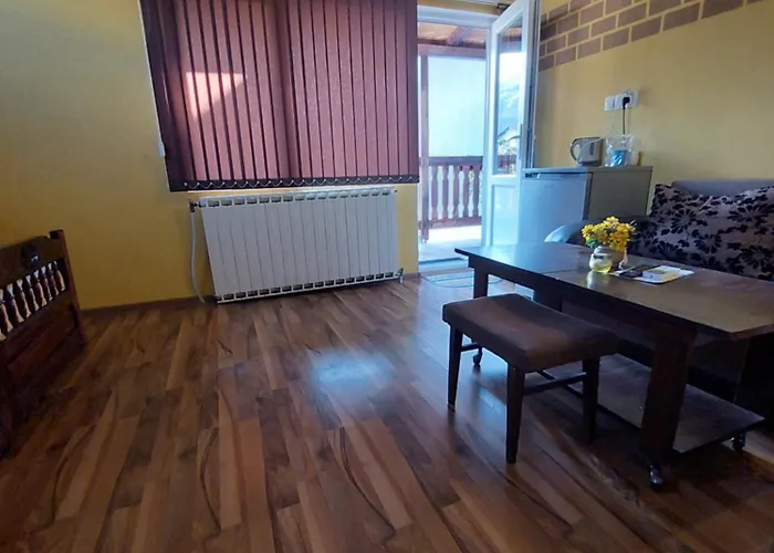 за гости върбите 3* Saparewa Banja