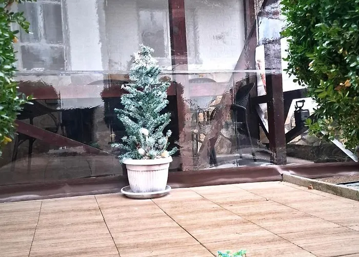 за гости върбите