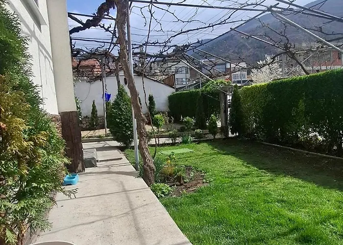 за гости върбите