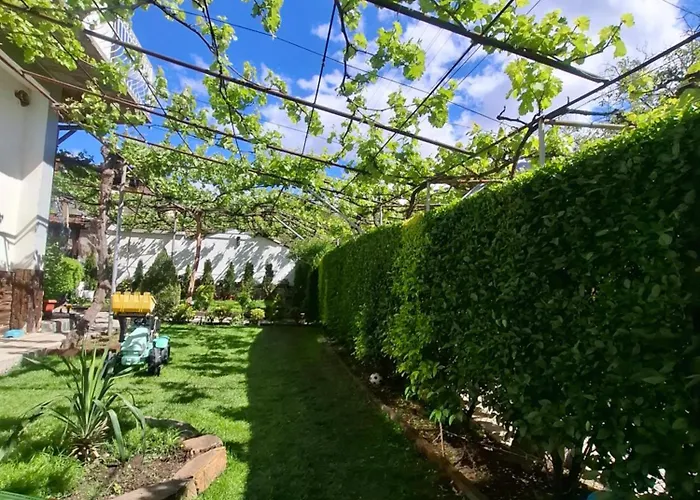 за гости върбите 3*